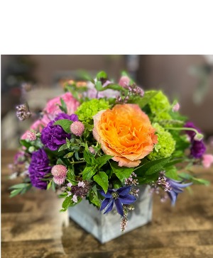 Beautiful  Brights 