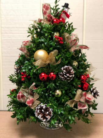 Beautiful Decorated Boxwood Tree Boxwood Tree