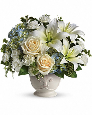 Beautiful Dreams T209-1 