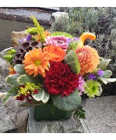 Beautiful Fall Cube Cube arrangement