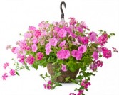 BEAUTIFUL FLOWERING BASKET  