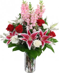 Beautiful Flowers 