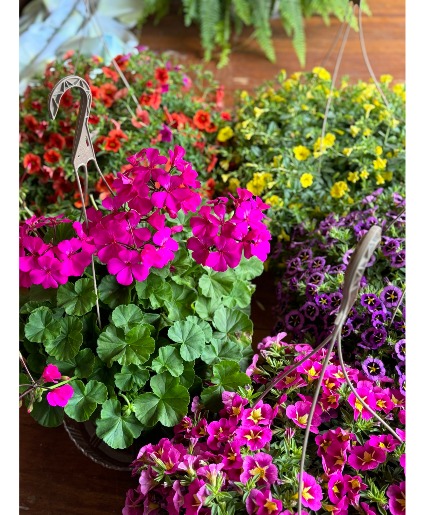 Beautiful Hanging Basket 