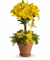 Beautiful In Yellow Floral Arrangement 