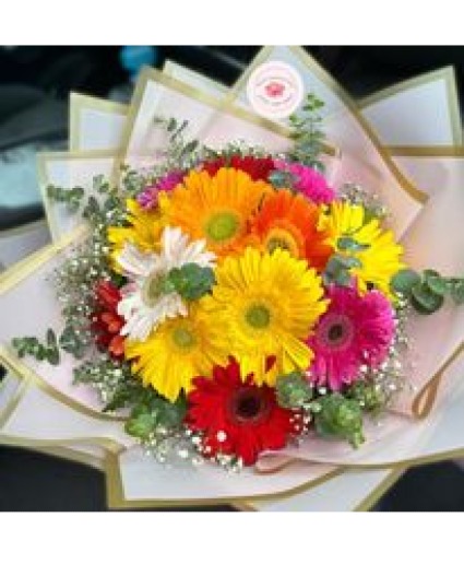 Beautiful Mix colors Daisy 
