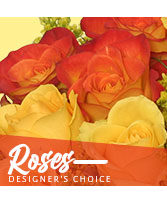 Beautiful Roses Designer's Choice
