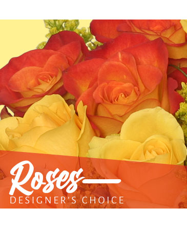 Beautiful Roses Designer's Choice in Marmaduke, AR | Choco Taco Florist ***TEST SHOP****