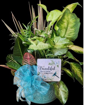 Beautiful Soul Planter 