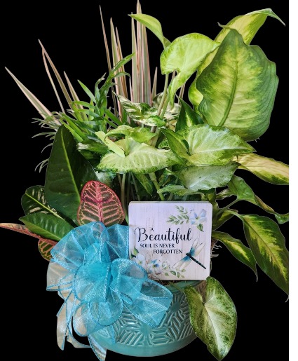 Beautiful Soul Planter 