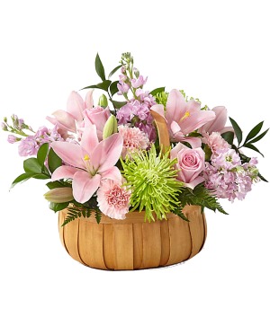 Beautiful Spirit Basket Creation