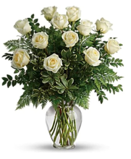 Beautiful white roses Dozen White Roses