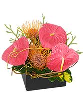 BEAUTY INTERTWINED Floral Arrangement