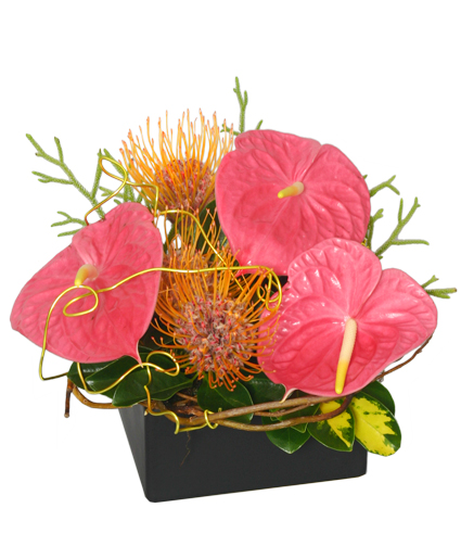 BEAUTY INTERTWINED Floral Arrangement