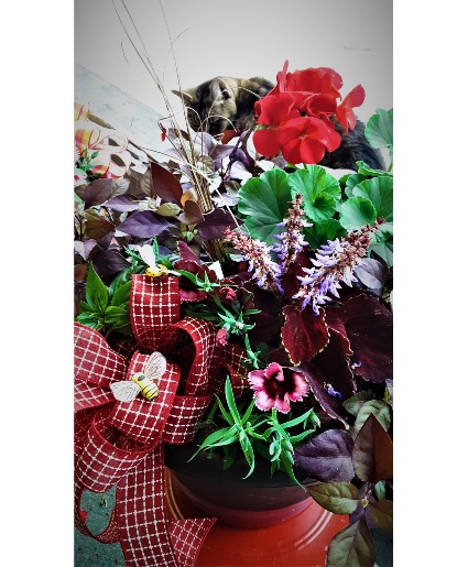 Beauty of summer mixed combo pot