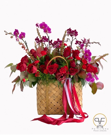 Becks Orchids  