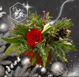 Bee Merry Designers Choice Designers Choice