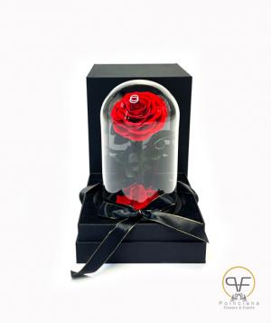 Bella Rose Box  