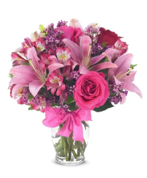 Bella Roses 