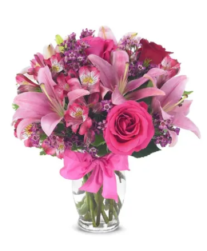 Bella Roses 