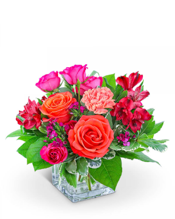 Bellini Flower Arrangement in Nevada, IA | Flower Bed