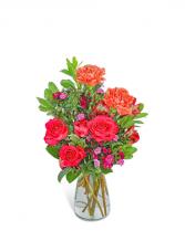 Bellini Split Flower Arrangement