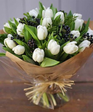 Berry Tulips  