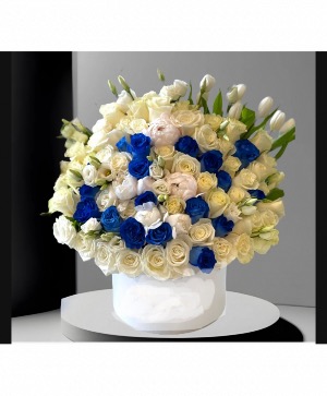 Best in blue  