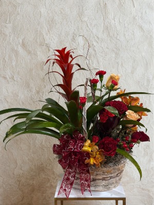 Best of Both Worlds Garden Basket Plant & Cut Flower Arrangement
