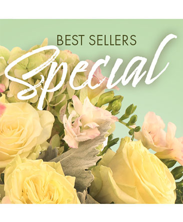 Best Sellers Special Designer's Choice in Philadelphia, PA | QA Test Account