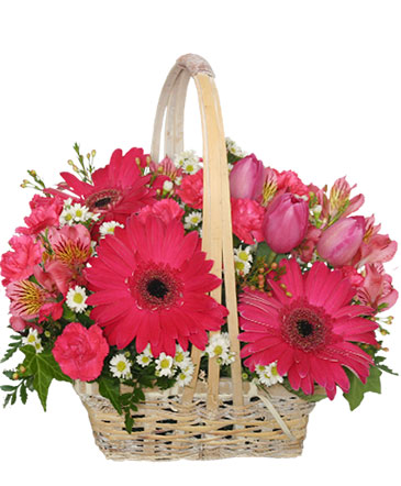 Best Wishes Basket of Fresh Flowers in Albany, NY | Ambiance Florals & Events