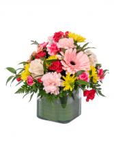 Best Wishes for You Cube