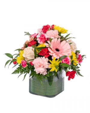 Best Wishes for You Cube