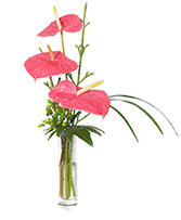 BEYOND A BUD VASE Arrangement