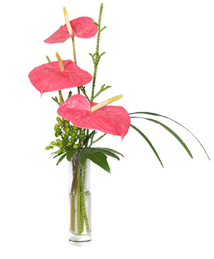 BEYOND A BUD VASE Arrangement