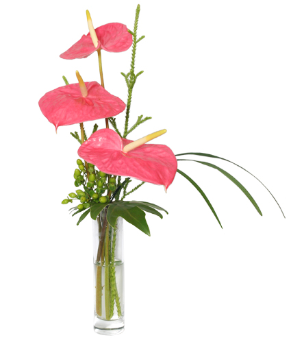 BEYOND A BUD VASE Arrangement