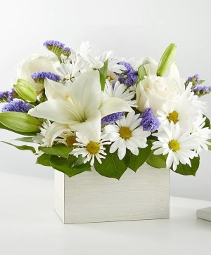 Beyond Blue Box  Blue and White flowers