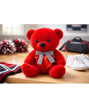 Big Cheer Bear  cheer