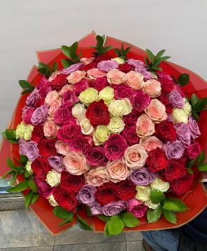 BIG MIX ROSES 
