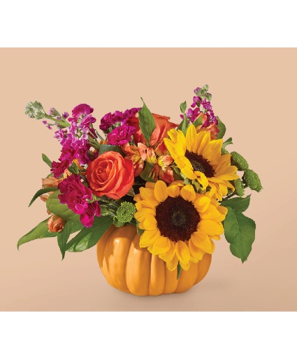 Bippity Bobbity Pumpkin 