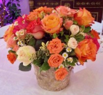 Birch Woods Rose Garden Roses and More, Natural,  Real, Authentic