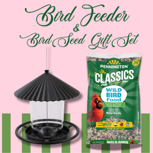 Bird Feeder & Bird Seed Gift Set 