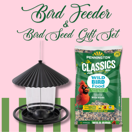 Bird Feeder & Bird Seed Gift Set 
