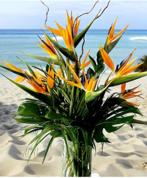 Bird of paradise arrangement Vase Arrangement