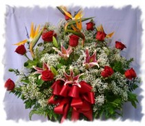 Bird of Roses! Valentine's Day