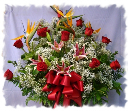 Bird of Roses! Valentine's Day