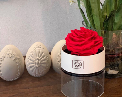 Bird Rose life long rose  Rose
