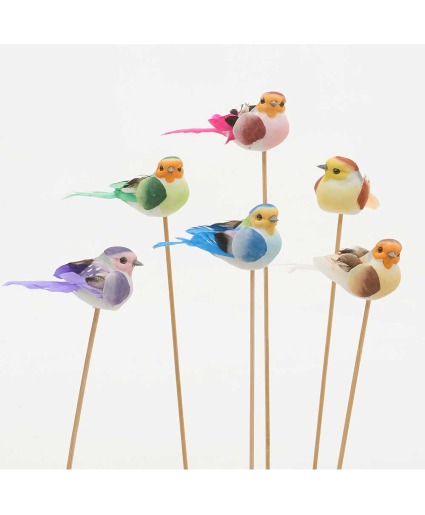 Birds 