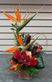 Sweet Little Paradise Arrangement