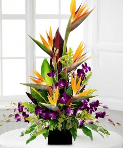 BIRDS IN PARADISE Tropical Flower Arrangement in Los Angeles, CA | MY BELLA FLOWER