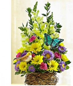 Bird's Nest Basket 